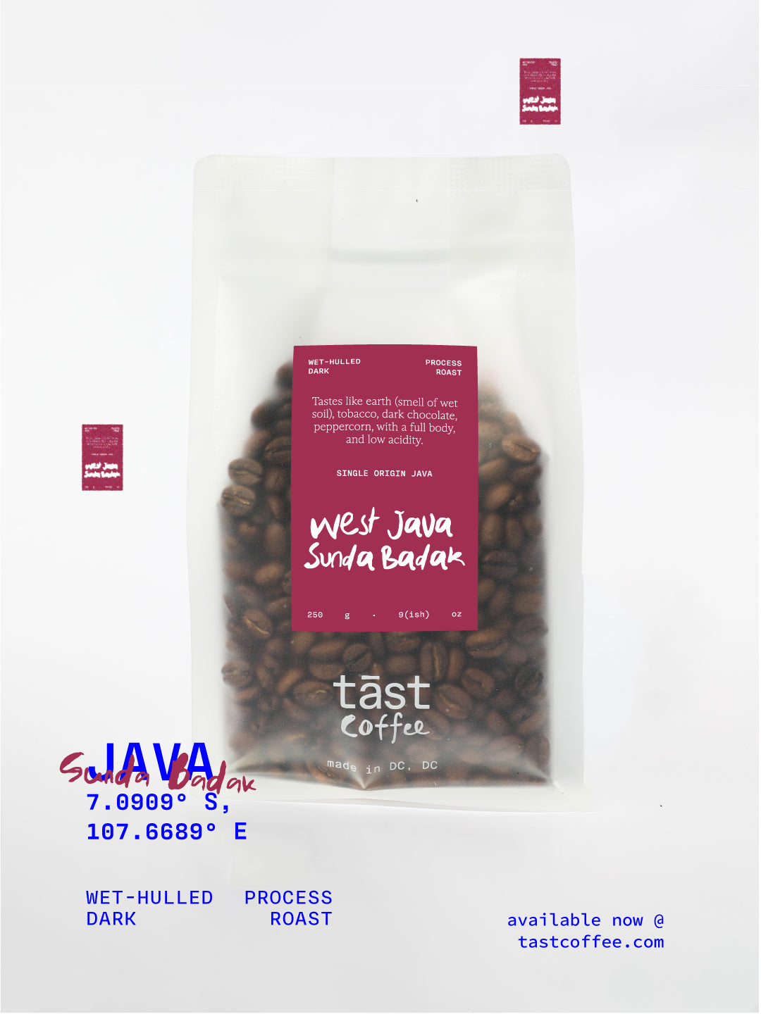 Java - West Java Sunda Badak
